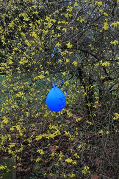 Fruehling   151.jpg